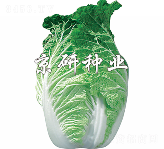 ����75̖(h��o)-�ײ˷N��-���зN�I(y��)