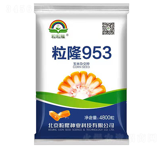 ��¡953-���׷N��-����¡