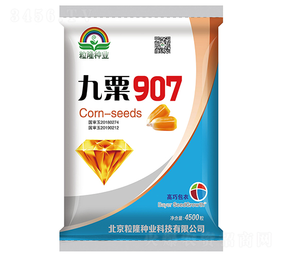 ����907���׷N��-����¡