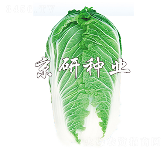 ����701-�ײ˷N��-���зN�I(y��)