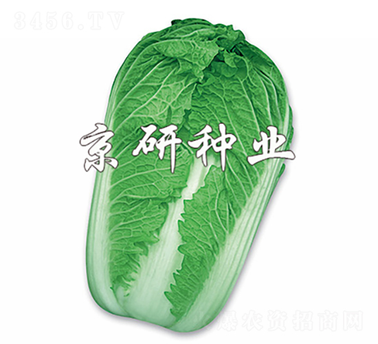 ����3̖(h��o)-�ײ˷N��-���зN�I(y��)