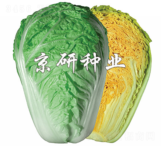 �����ۼt3̖-�ײ˷N��-���зN�I(y��)