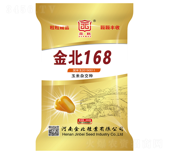 金北168-玉米雜交種子-金北種業(yè)