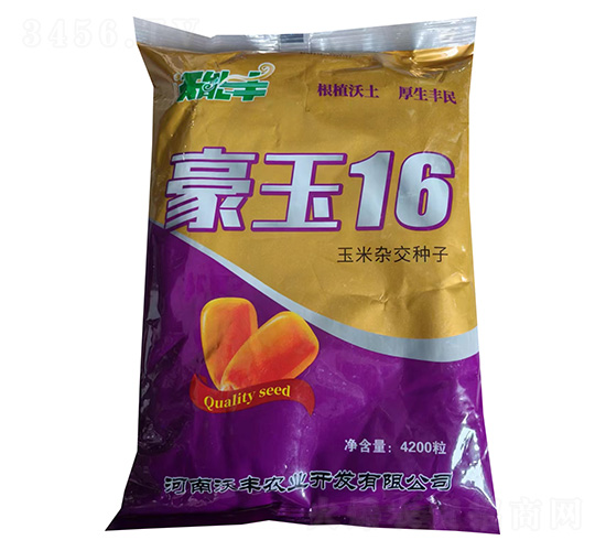 �����s���N��-����16-�͹��S