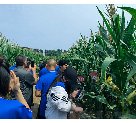 ��(j��)��777�^Ħ-�͹��S