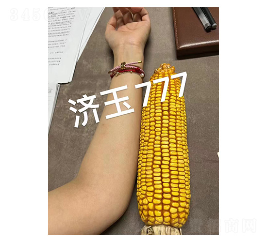 ����777���-�͹��S