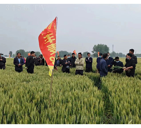 ���S��168�^Ħ-�͹��S