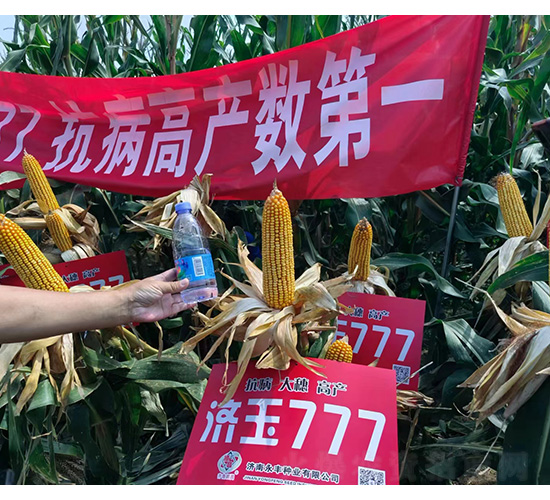 ��(j��)��777-�͹��S