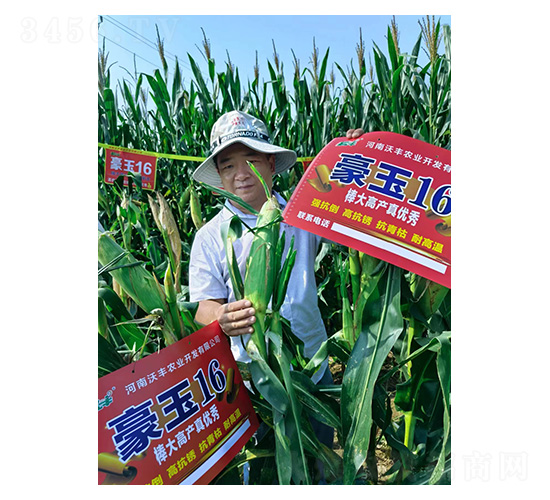 ����16-�͹��S