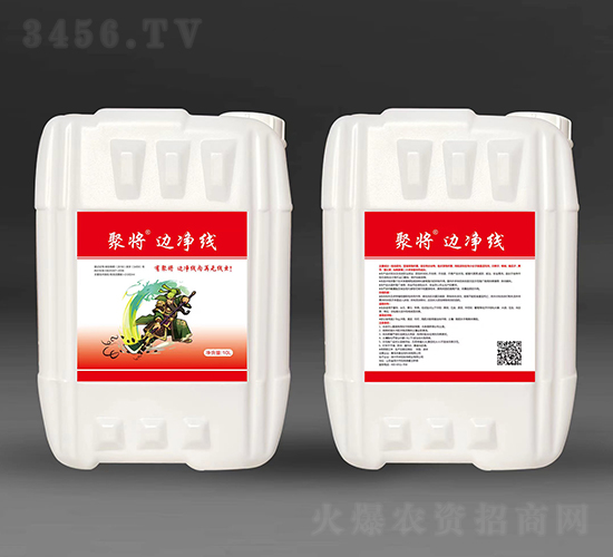 ߅����-�ی�-�����A