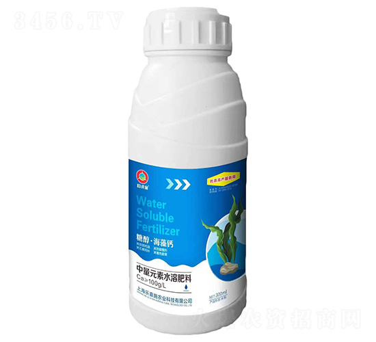 �Ǵ��������}-�w�֌�-��ϲʩ