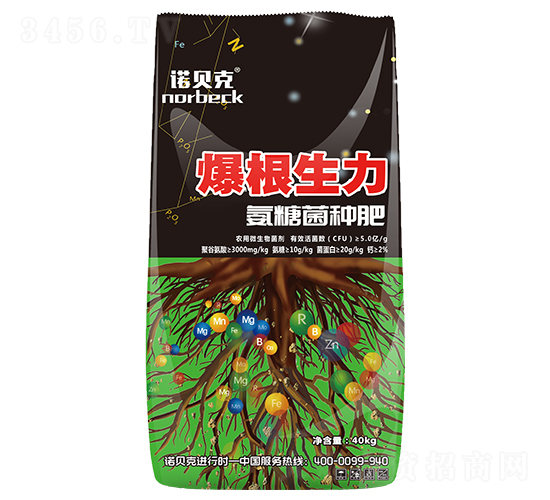 �����������Ǿ��N��-�Zؐ��-��ʢԪ