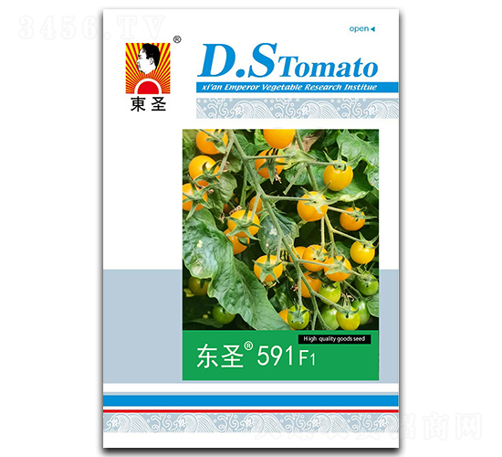 �|ʥ591F1-���ѷN��-�|ʥ