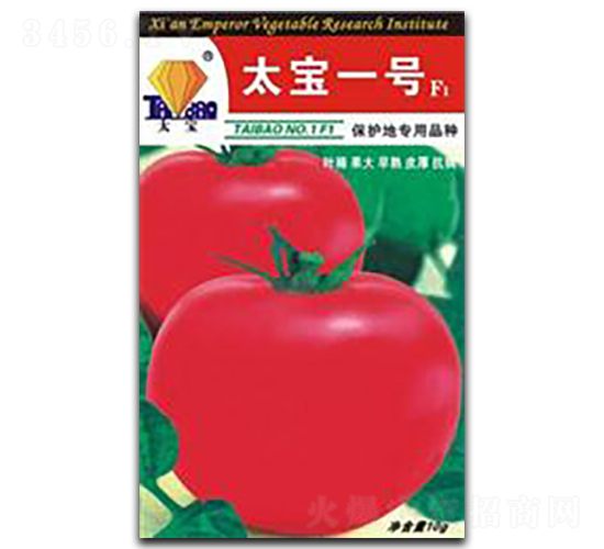 ̫��һ̖(h��o)-���ѷN��-�|ʥ