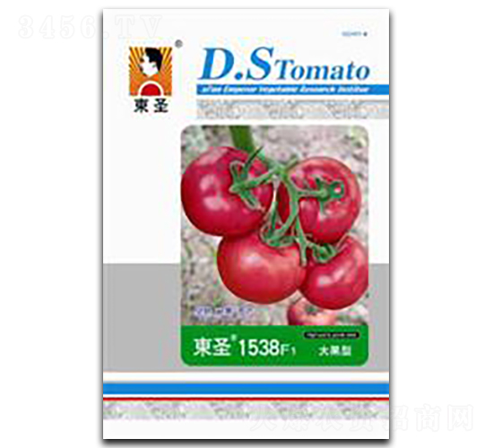 �|ʥ1538-���ѷN��-�|ʥ