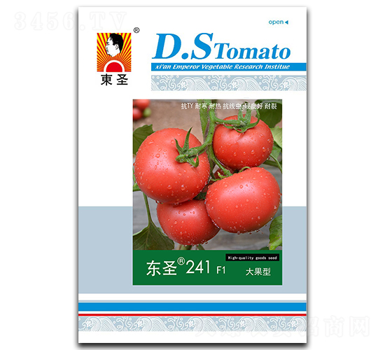 �|ʥ241-���ѷN��-�|ʥ