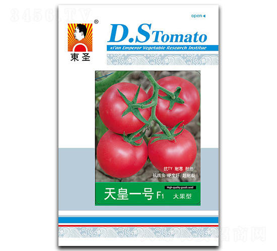 ���һ̖-���ѷN��-�|ʥ