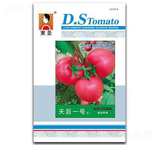 ���һ̖-���ѷN��-�|ʥ