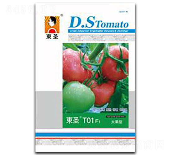 �|ʥT01-���ѷN��-�|ʥ