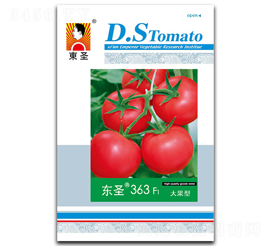 �|ʥ363-���ѷN��-�|ʥ