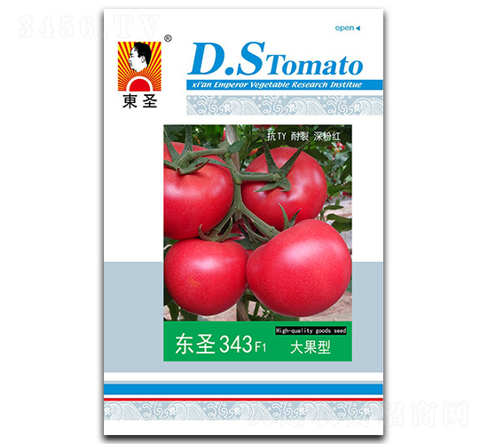 �|ʥ343-���ѷN��-�|ʥ