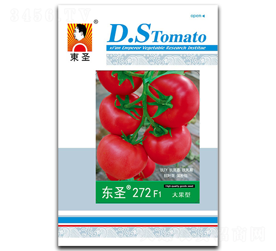 �|ʥ272-���ѷN��-�|ʥ