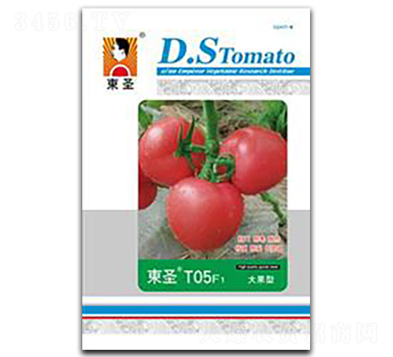 �|ʥT05-���ѷN��-�|ʥ