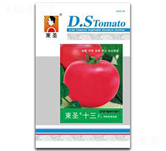 �|ʥʮ��-���ѷN��-�|ʥ