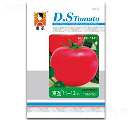 �|ʥ11-13-���ѷN��-�|ʥ