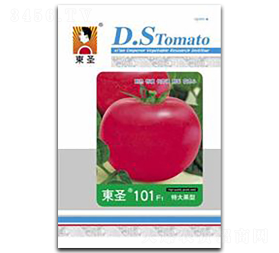 �|ʥ101-���ѷN��-�|ʥ