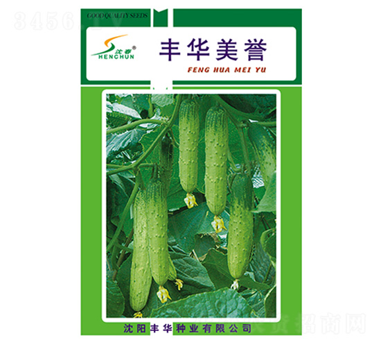 �S�A���u-�S�ϷN��-�S�A�N�I(y��)