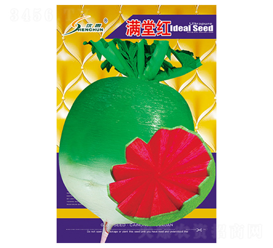 滿堂紅-蘿卜種子-豐華種業(yè)