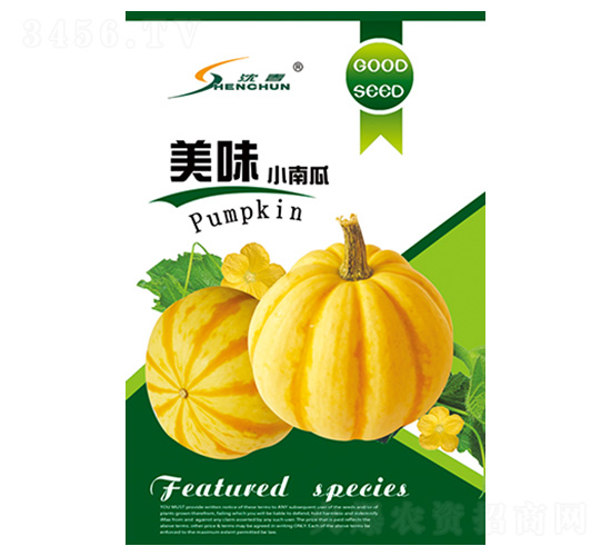 ��ζС�Ϲ�-�ϹϷN��-�S�A�N�I(y��)