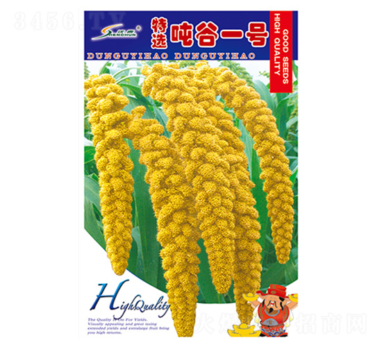 精選噸谷一號(hào)-谷子種子-豐華種業(yè)
