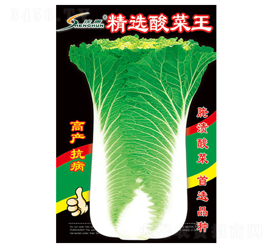 ���x�����-�ײ˷N��-�S�A�N�I(y��)