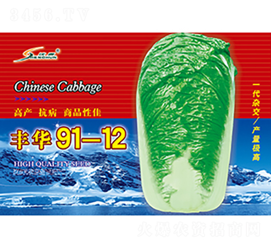 �S�A91-12-�ײ˷N��-�S�A�N�I(y��)