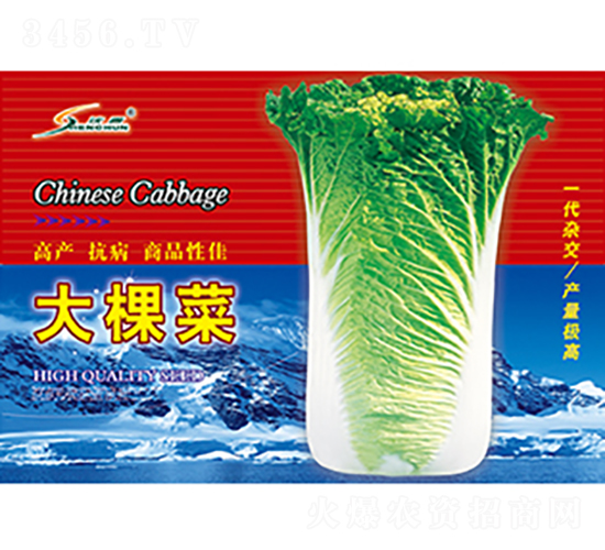 ��ò�-�ײ˷N��-�S�A�N�I(y��)