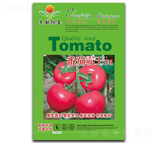 ���Ѱ���F1���t���N��-���J�tϲ