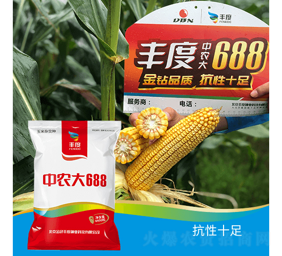 ���r(n��ng)��688-���׷N��-�S�ȸ߿�