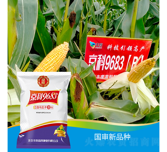 ����9683-B-���׷N��-�S�ȸ߿�