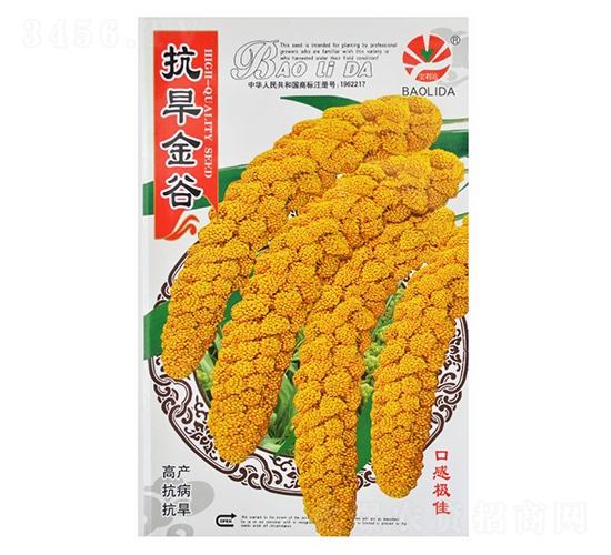 �������-���ӷN��