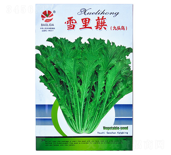 ѩ��ޮ-��˷N��