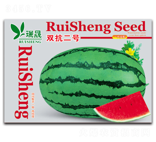 雙抗二號(hào)-西瓜種子-瑞晟