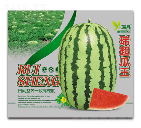 �𳬹���-���ϷN��-����