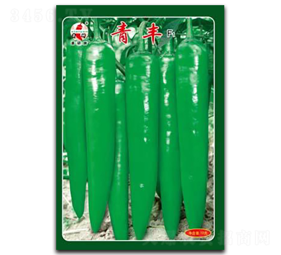 青豐F1-尖椒種子-蕭研種業(yè)