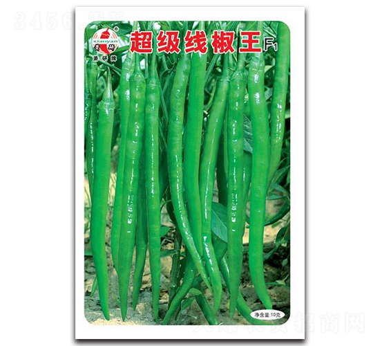 超級線椒王F1-線椒種子-蕭研種業(yè)
