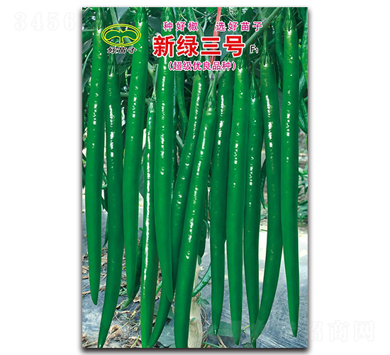 �¾G��̖(h��o)F1-��(xi��n)���N��-ʒ�зN�I(y��)