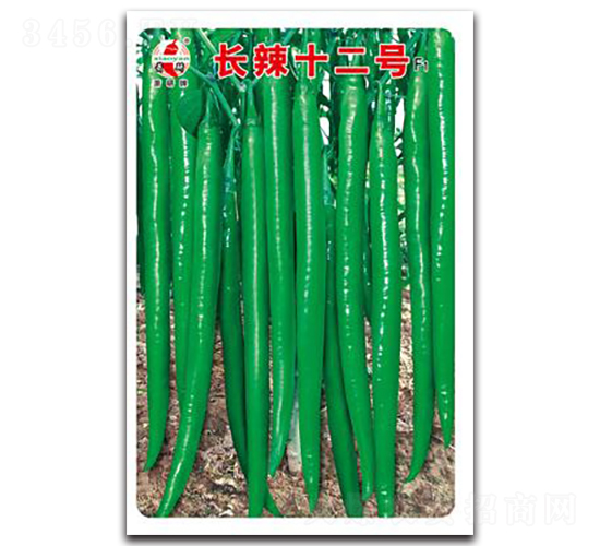 �L(zh��ng)��ʮ��̖(h��o)-�����N��-ʒ�зN�I(y��)