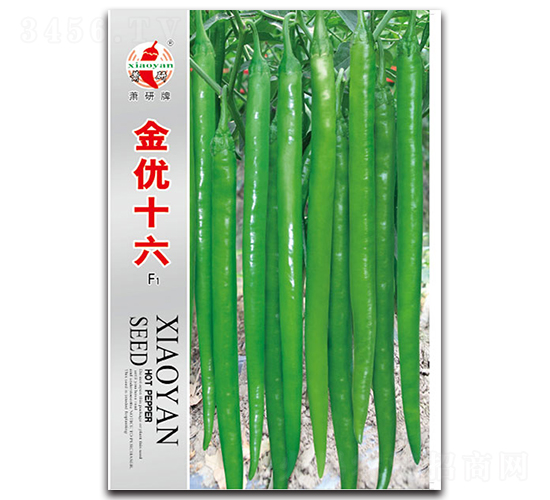 ����(y��u)ʮ��-�����N��-ʒ�зN�I(y��)