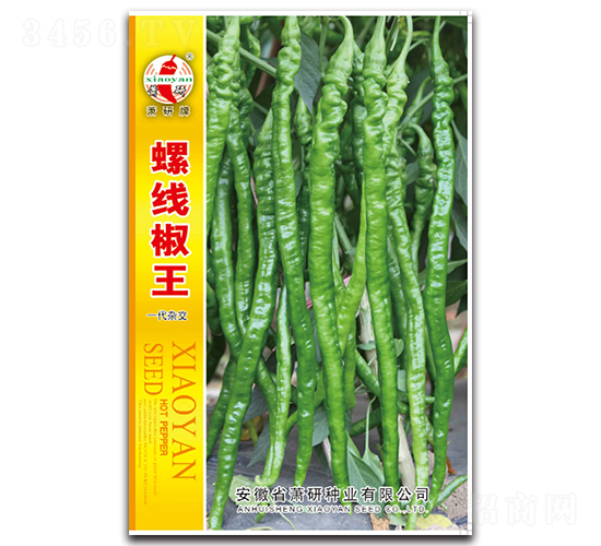 �ݾ�����-�����N��-ʒ�зN�I(y��)